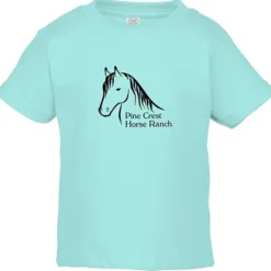 Rabbit Skins Jersey T-Shirt - Toddler - Colors