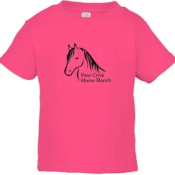 Rabbit Skins Jersey T-Shirt - Toddler - Colors