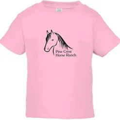 Rabbit Skins Jersey T-Shirt - Toddler - Colors