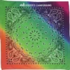 Rainbow Paisley Bandana - 22 inches x 22 inches