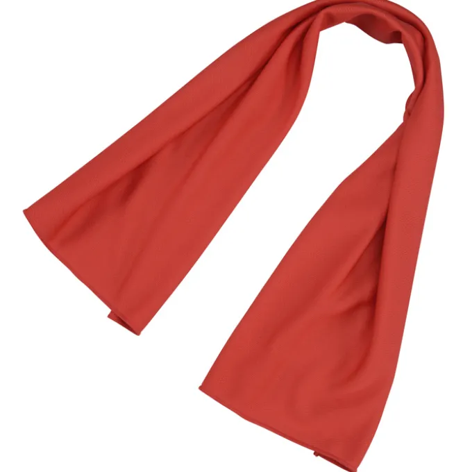 Rainier Cooling Towel