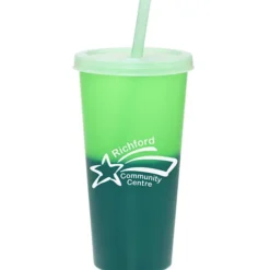 Rave Mood Tumbler with Lid and Straw - 26 oz