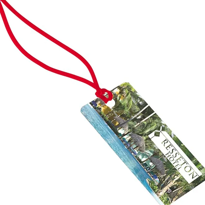 Rectangle POLYspectrum Bag Tag - 2 inches x 4 inches - Translucent