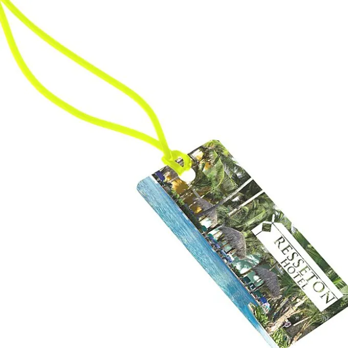 Rectangle POLYspectrum Bag Tag - 2 inches x 4 inches - Translucent