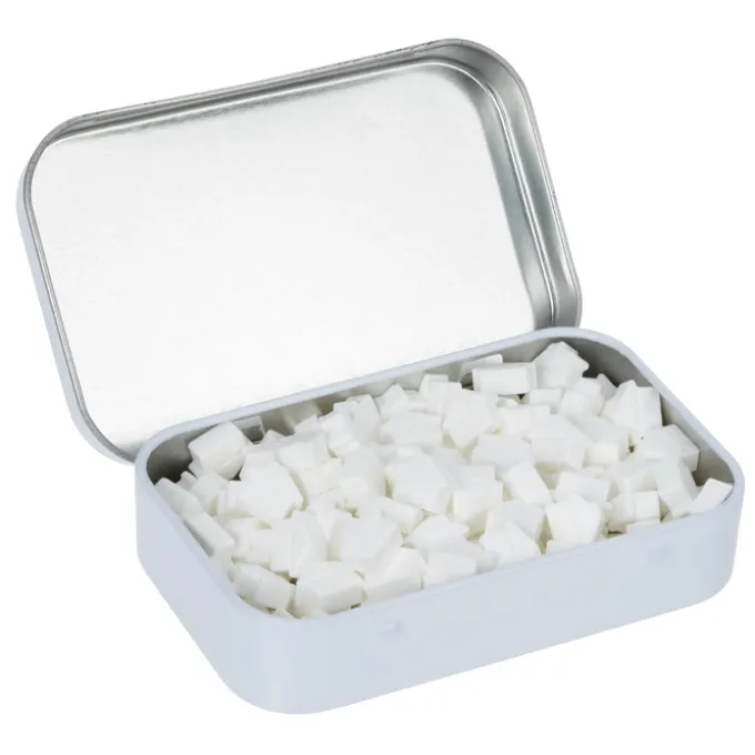 Rectangular Tin with Shaped Mints - House