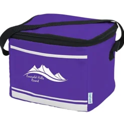 Refresh 6-Pack Lunch Cooler