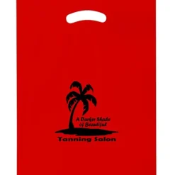 Reinforced Handle Plastic Bag - 15 inches x 12 inches