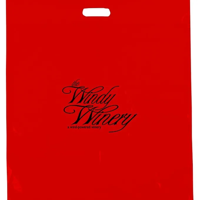 Reinforced Handle Plastic Bag - 22 inches x 20 inches