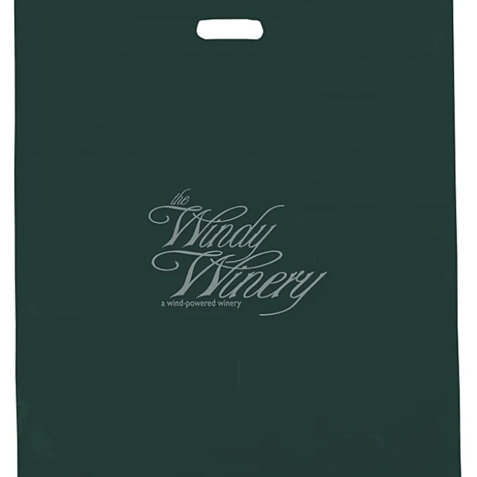 Reinforced Handle Plastic Bag - 22 inches x 20 inches