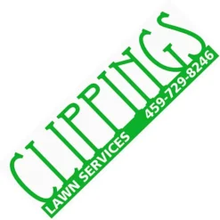 Removable Vinyl Bumper Sticker - 3 inches x 9 inches