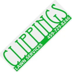 Removable Vinyl Bumper Sticker - 3 inches x 9 inches