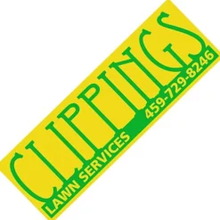 Removable Vinyl Bumper Sticker - 3 inches x 9 inches