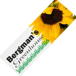 Removable Vinyl Bumper Sticker - 3-3/4 inches x 7-1/2 inches - Full Color