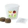 Renew Promo Planting Pot - Full Color