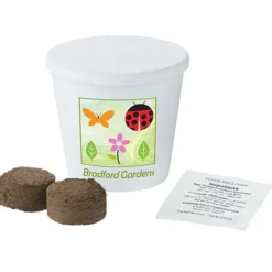 Renew Promo Planting Pot - Full Color