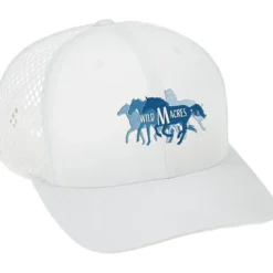 Richardson Honeycomb Mesh Back Cap
