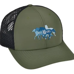 Richardson Honeycomb Mesh Back Cap