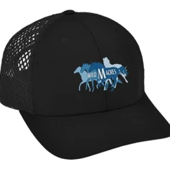 Richardson Honeycomb Mesh Back Cap