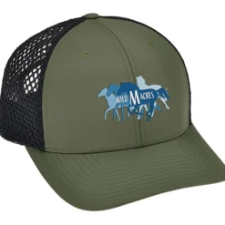 Richardson Honeycomb Mesh Back Cap