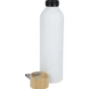 Ryze Aluminum Bottle - 22 oz