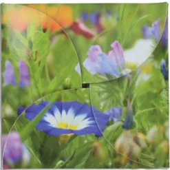Say It With Seeds Packet - Flowers