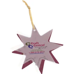 Seeded Paper Ornament - Star