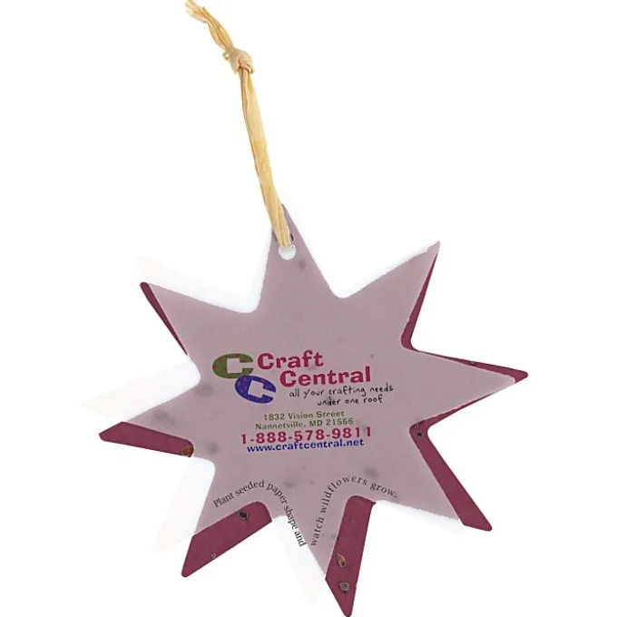 Seeded Paper Ornament - Star