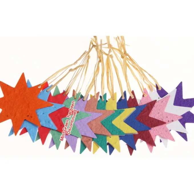 Seeded Paper Ornament - Star