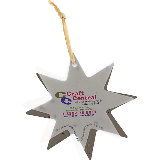 Seeded Paper Ornament - Star