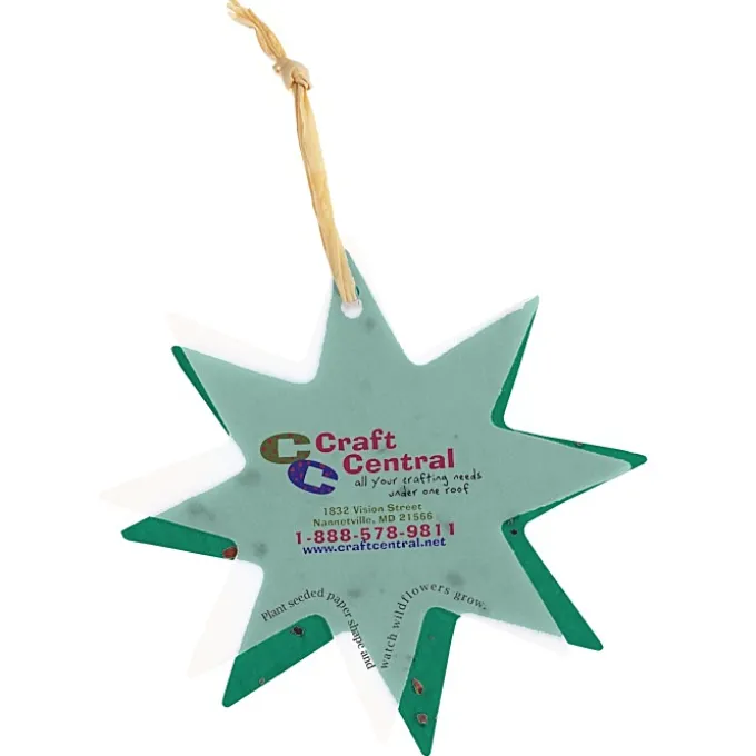 Seeded Paper Ornament - Star
