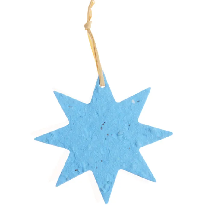 Seeded Paper Ornament - Star