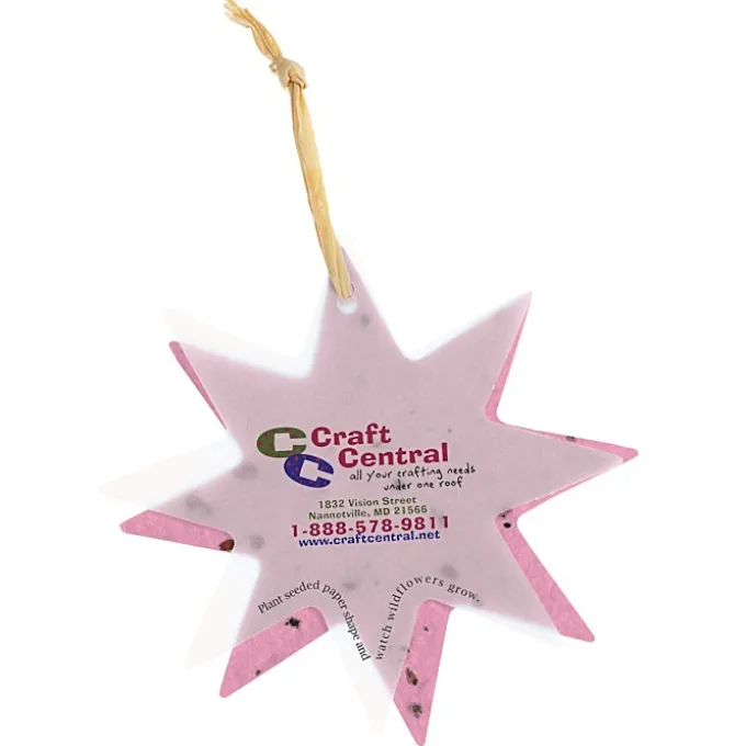 Seeded Paper Ornament - Star