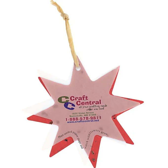 Seeded Paper Ornament - Star