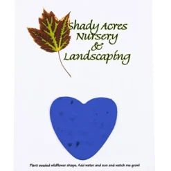 Seeded Paper Shapes Mailer/Postcard - 4 inches x 5 inches Heart
