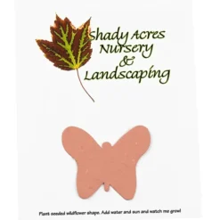 Seeded Paper Shapes Mailer/Postcard - 4 inches x 5 inches Butterfly