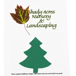 Seeded Paper Shapes Mailer/Postcard - 4 inches x 5 inches Tree