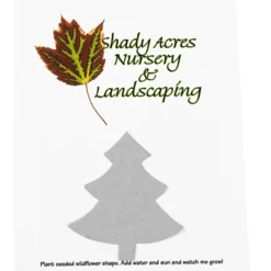 Seeded Paper Shapes Mailer/Postcard - 4 inches x 5 inches Tree