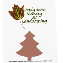 Seeded Paper Shapes Mailer/Postcard - 4 inches x 5 inches Tree