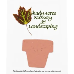 Seeded Paper Shapes Mailer/Postcard - 4 inches x 5 inches Flower Pot