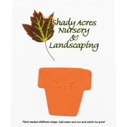 Seeded Paper Shapes Mailer/Postcard - 4 inches x 5 inches Flower Pot