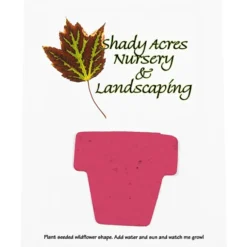 Seeded Paper Shapes Mailer/Postcard - 4 inches x 5 inches Flower Pot