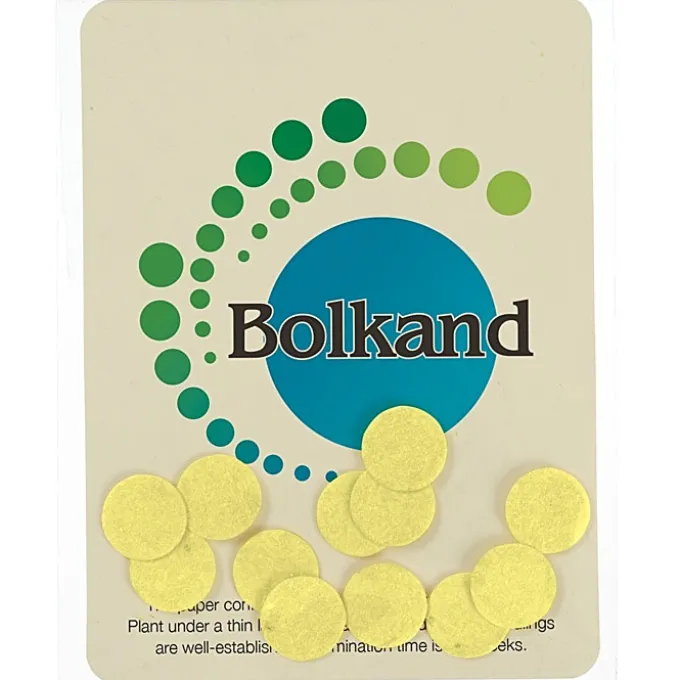 Seed Paper Confetti Pack - Circle