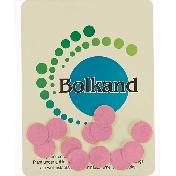 Seed Paper Confetti Pack - Circle