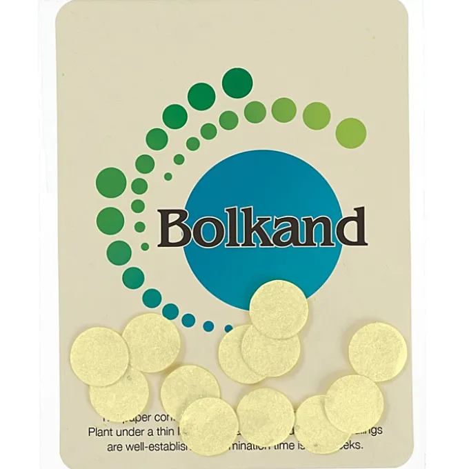 Seed Paper Confetti Pack - Circle