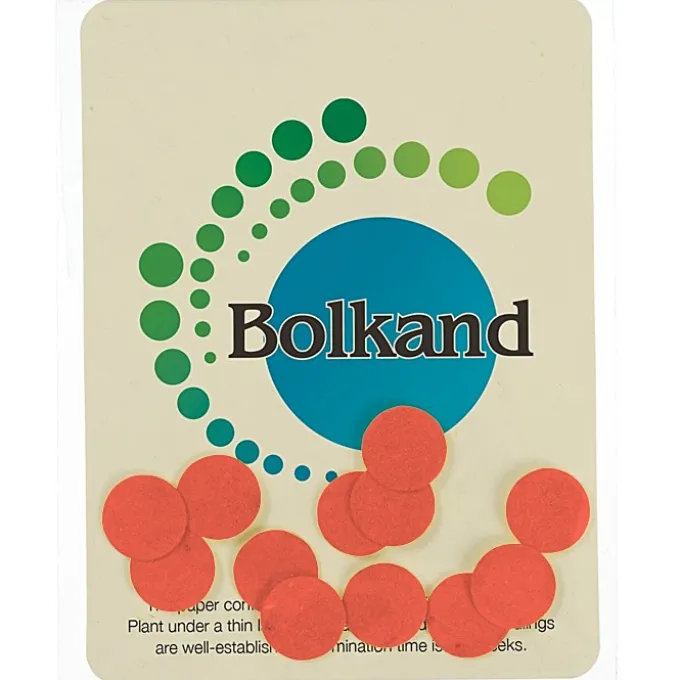 Seed Paper Confetti Pack - Circle