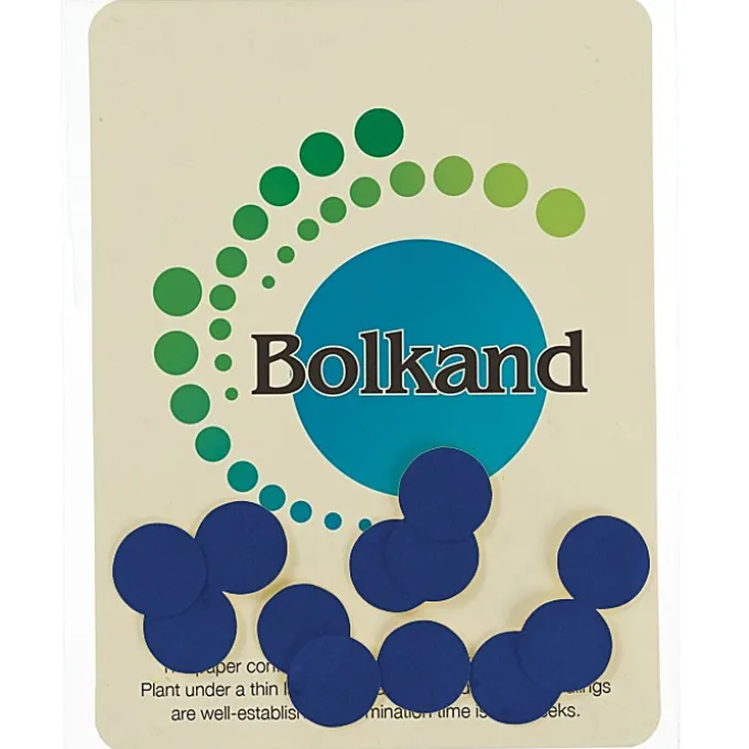Seed Paper Confetti Pack - Circle