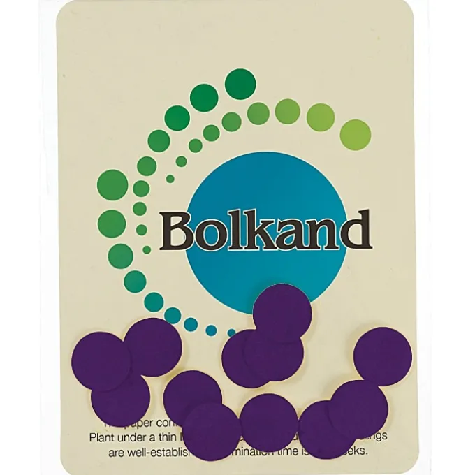 Seed Paper Confetti Pack - Circle