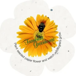 Seed Paper Shapes - Flower