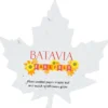 Seed Paper Shapes - Maple Leaf
