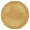 Shortbread Cookie - Full Color